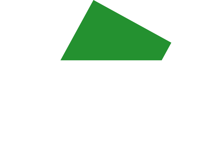 Bijsterbouw